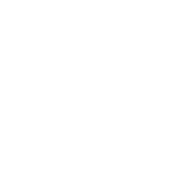 Alimentação Transportada